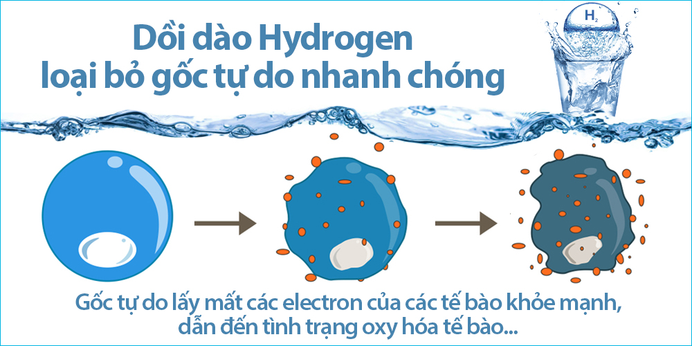 Nước ion kiềm giàu hydrogen chống oxy hóa